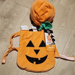 Pumpkin Infant Carrier Costume - Orange and Black